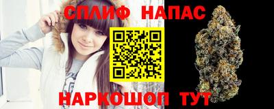 тгк Кимры