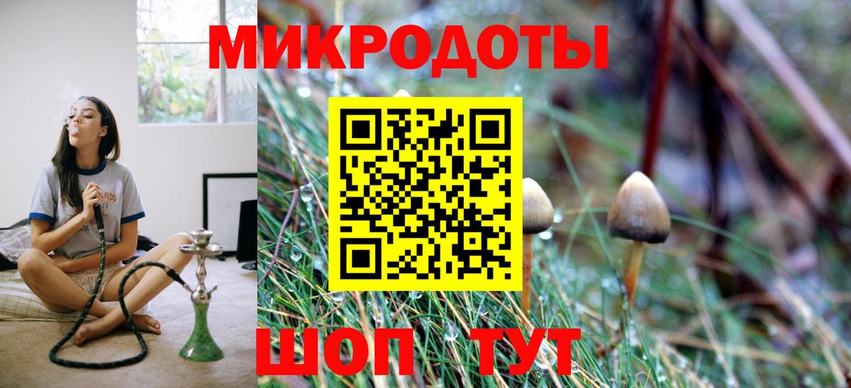 Галлюциногенные грибы Psilocybine cubensis Краснознаменск
