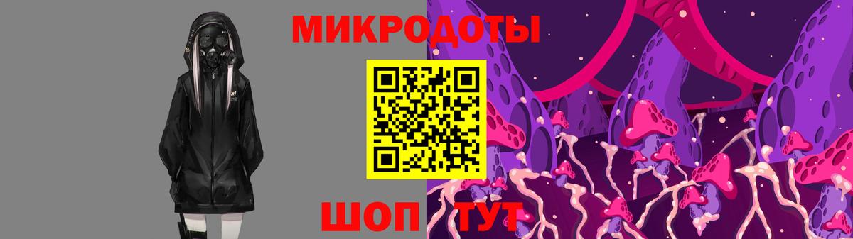 Галлюциногенные грибы Magic Shrooms  Вход с VPN  Краснознаменск  Галлюциногенные грибы Psilocybe 